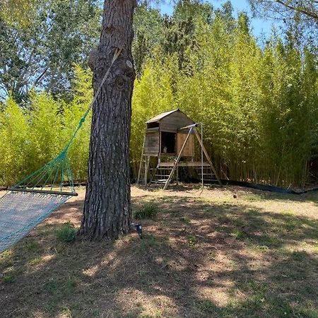 Petit Mas Calme Typique Du Sud ! Valergues Exterior foto