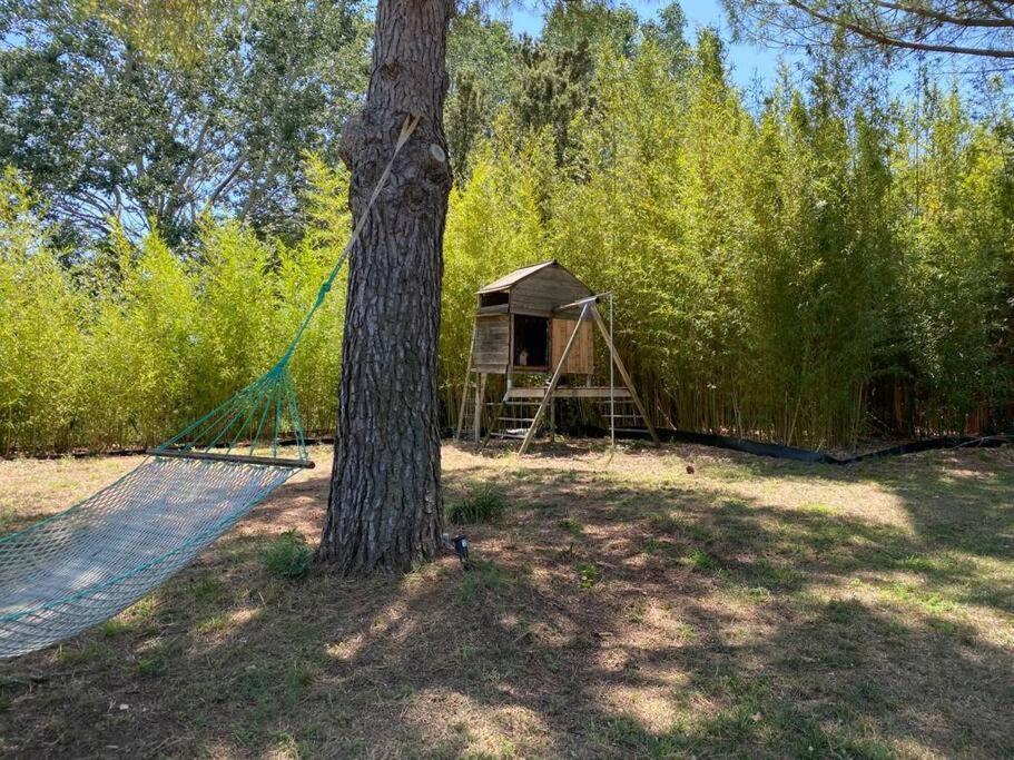 Petit Mas Calme Typique Du Sud ! Valergues Exterior foto